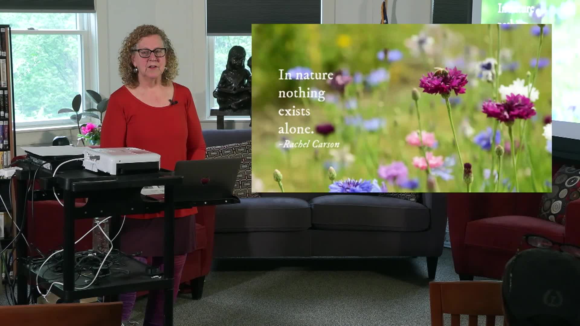 Forrest Gardening What Plants Go Where