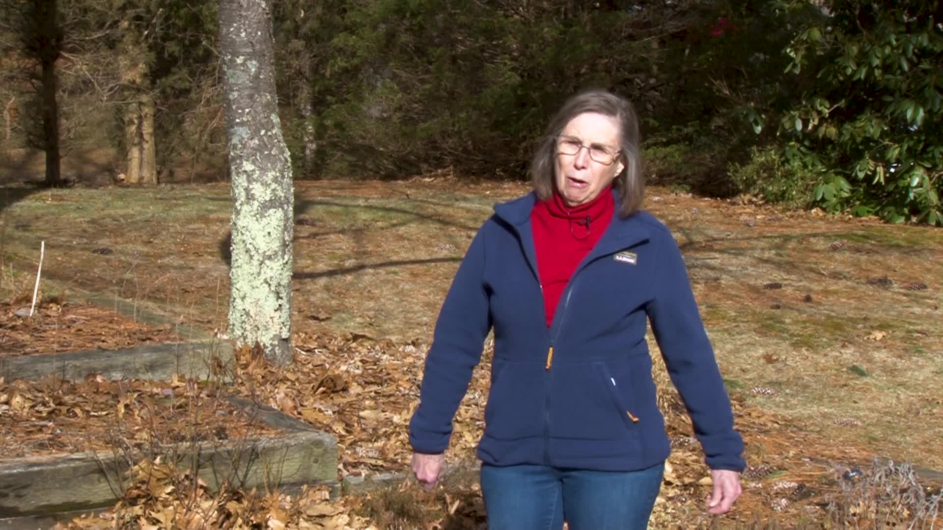 A Walk in the Garden get ready for Valentine’s Day!