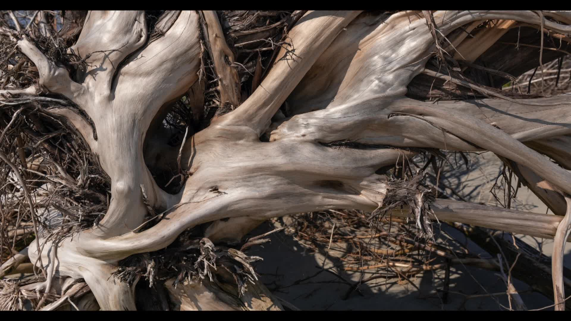 New England Authors with Kameel Nasr Jennifer Kelly