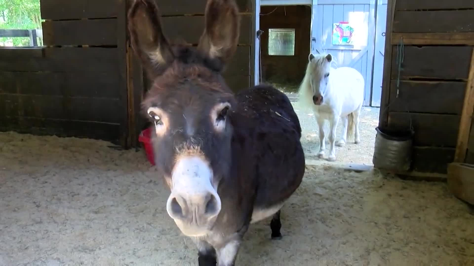 Timing Is Everything Minis With a Mission