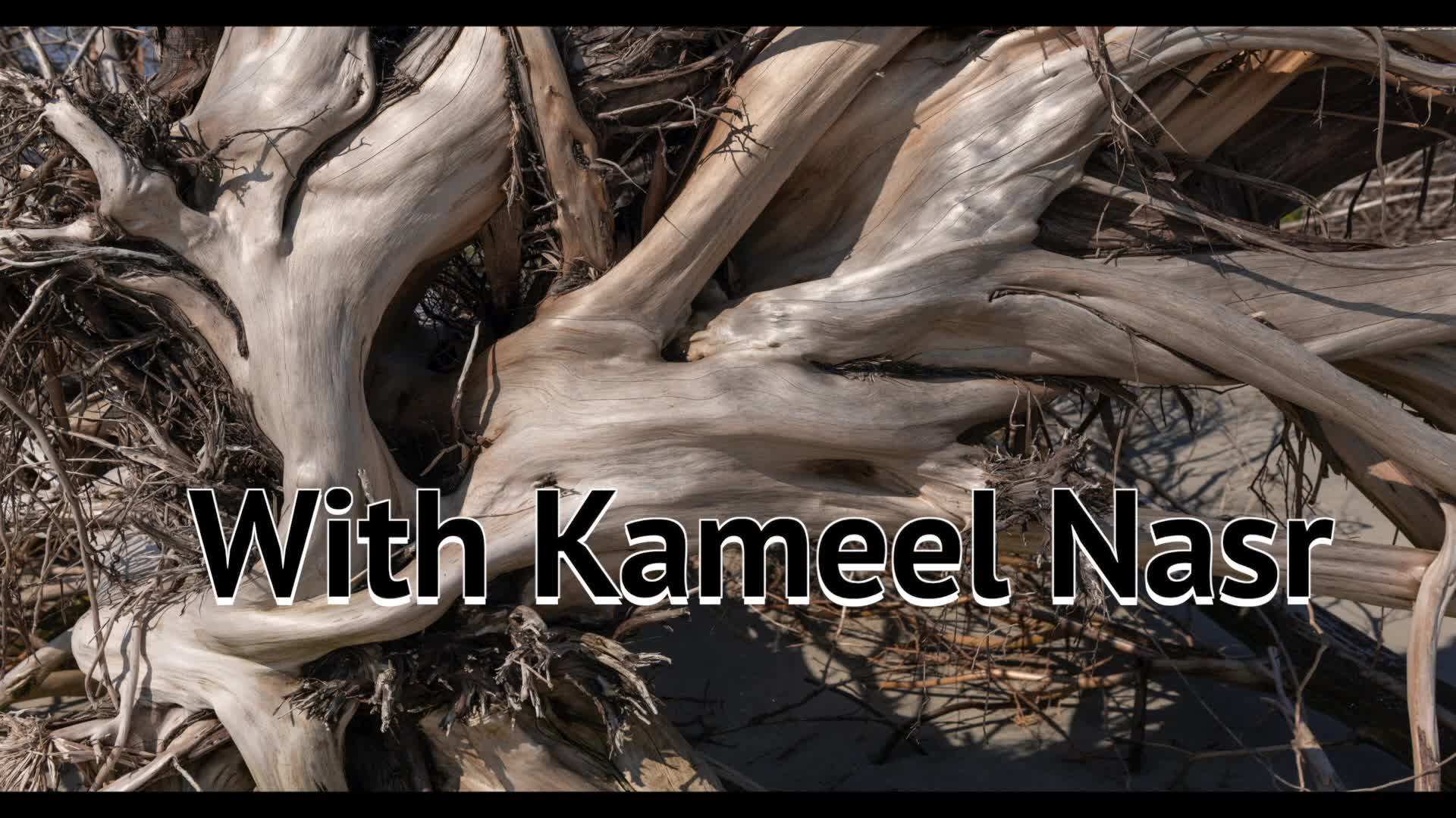 New England Authors with Kameel Nasr: Haider Javed