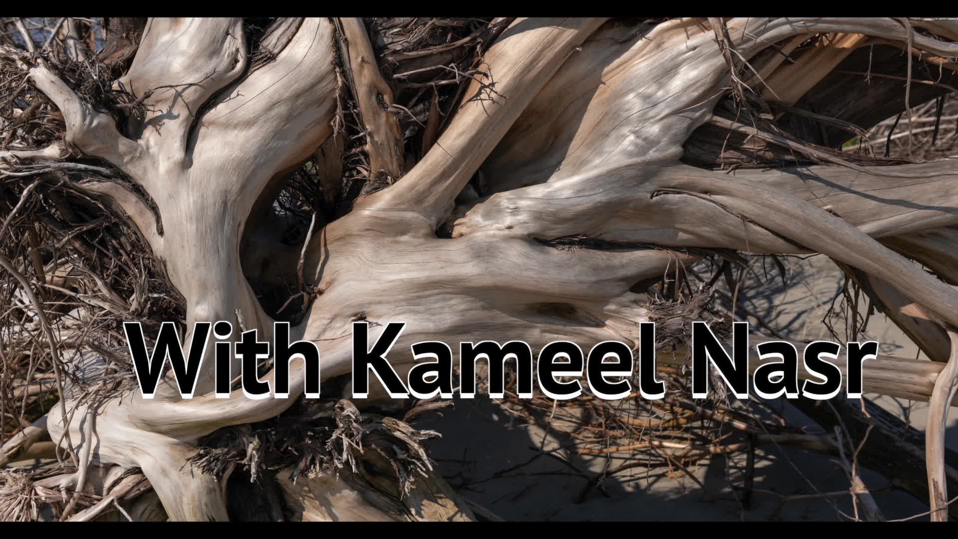 New England Authors with Kameel Nasr: Cheryl Suchors