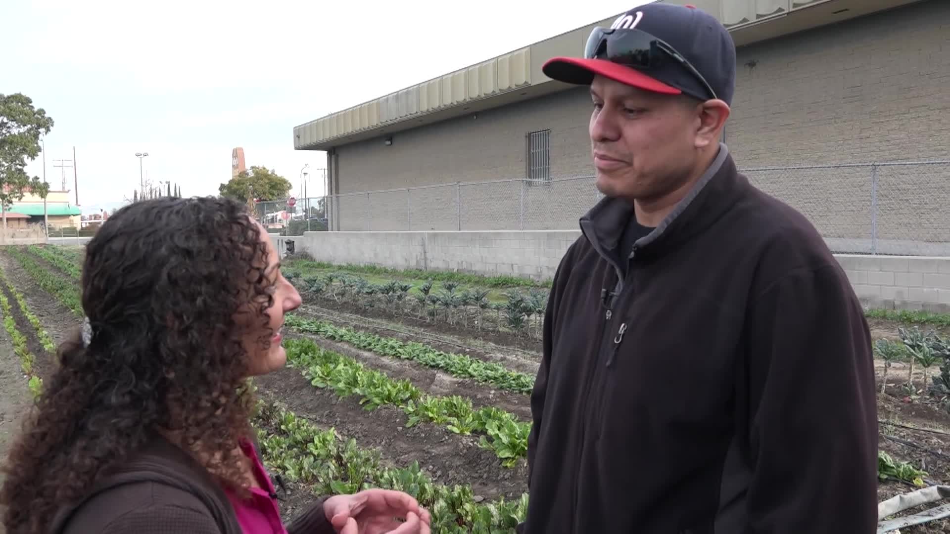 Beach TV Libby's Kitchen  Repurposing Leftovers
