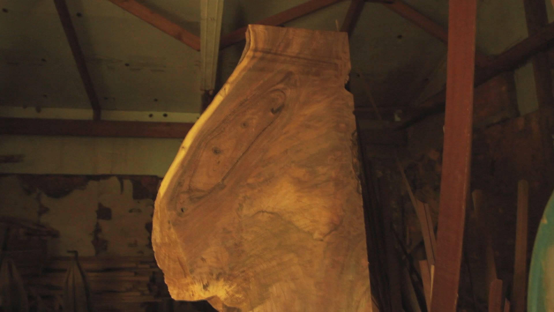 LIFES HIGHWAY Trout Fishing in West Virginia