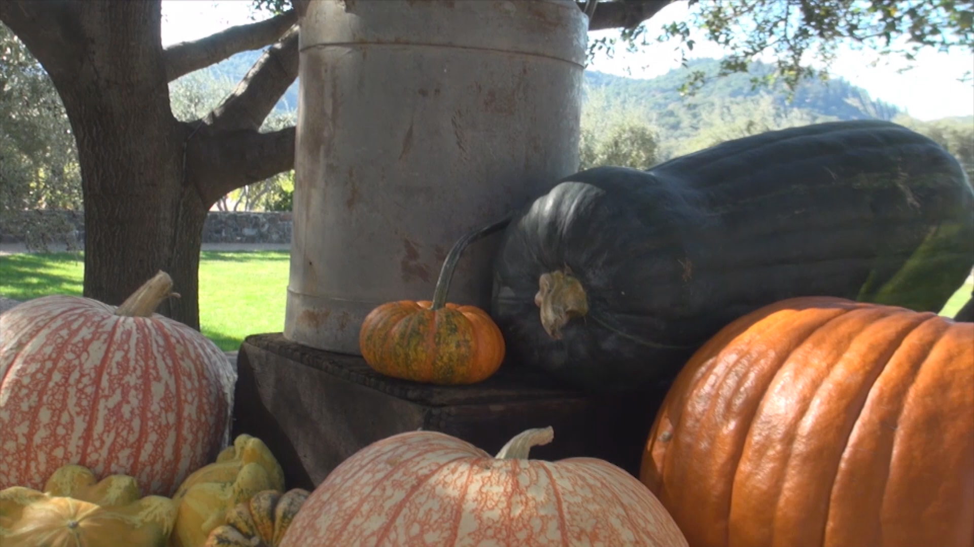 Ask Ralph and Lahni Rising Above Depression