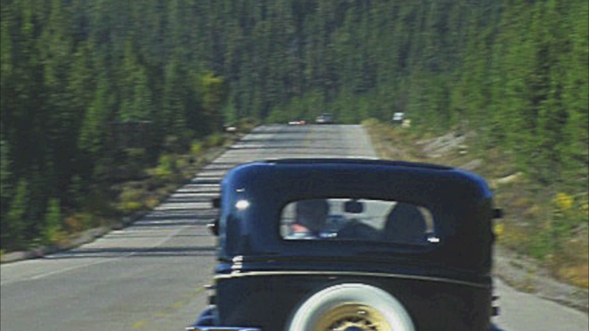 travel with a sense Canadian Rockies