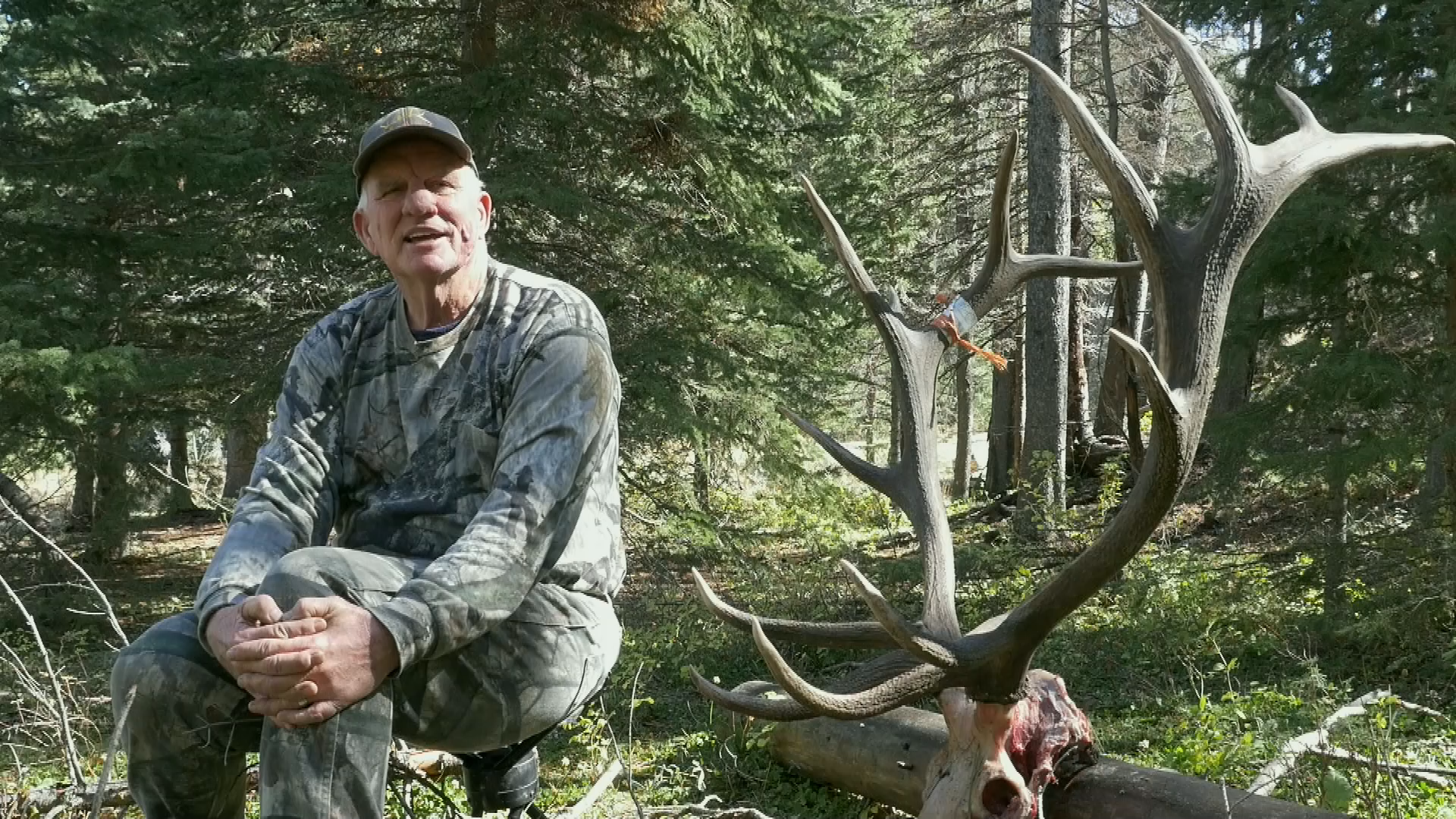 LIFES HIGHWAY Squirrel in Adams County part 1