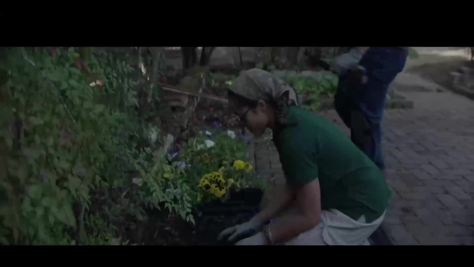 Reeling: Master Gardener. Blackberry and more...