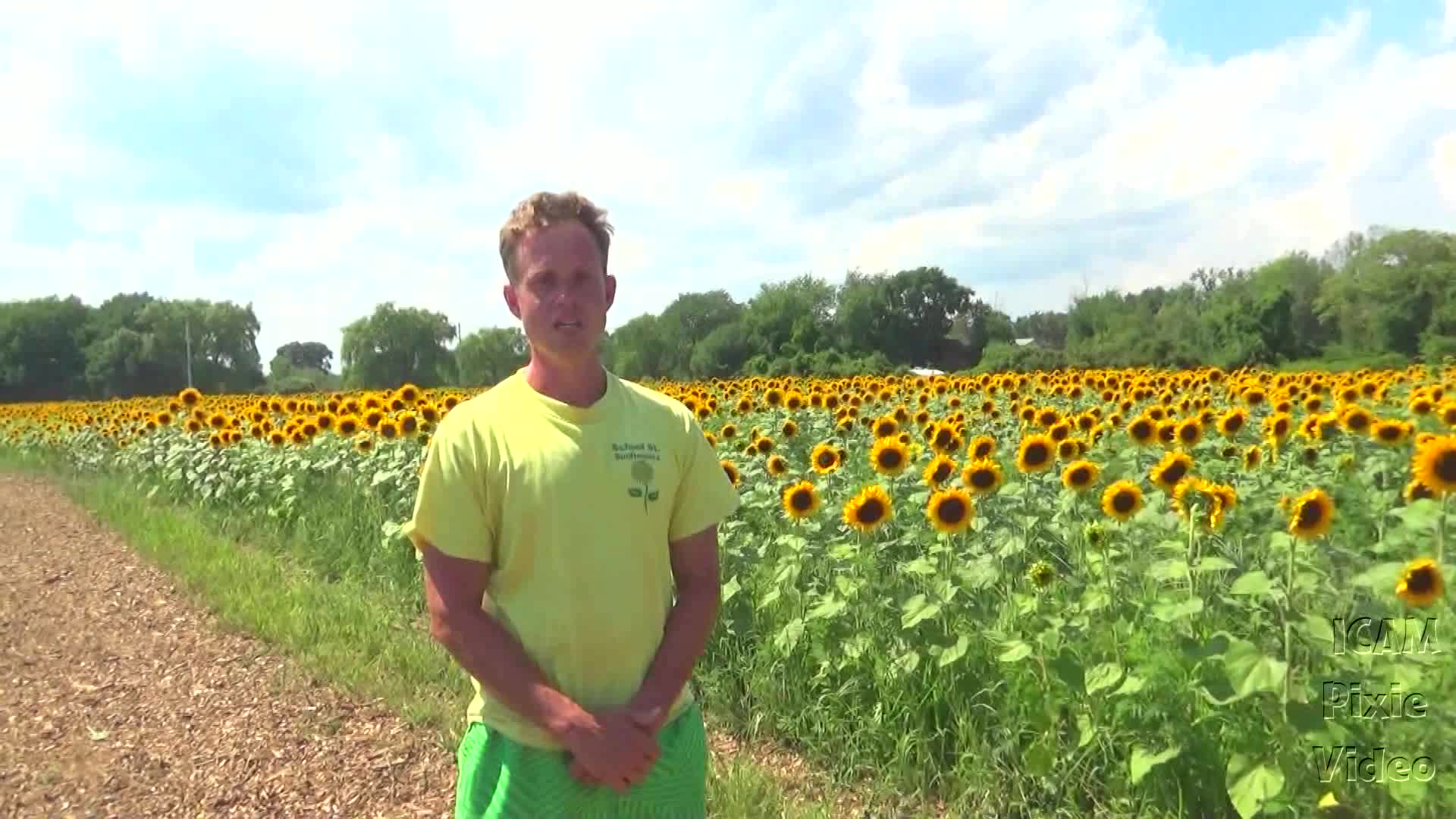 Let's Visit Old Men Museum, Sunflowers, Gullfoss Waterfall