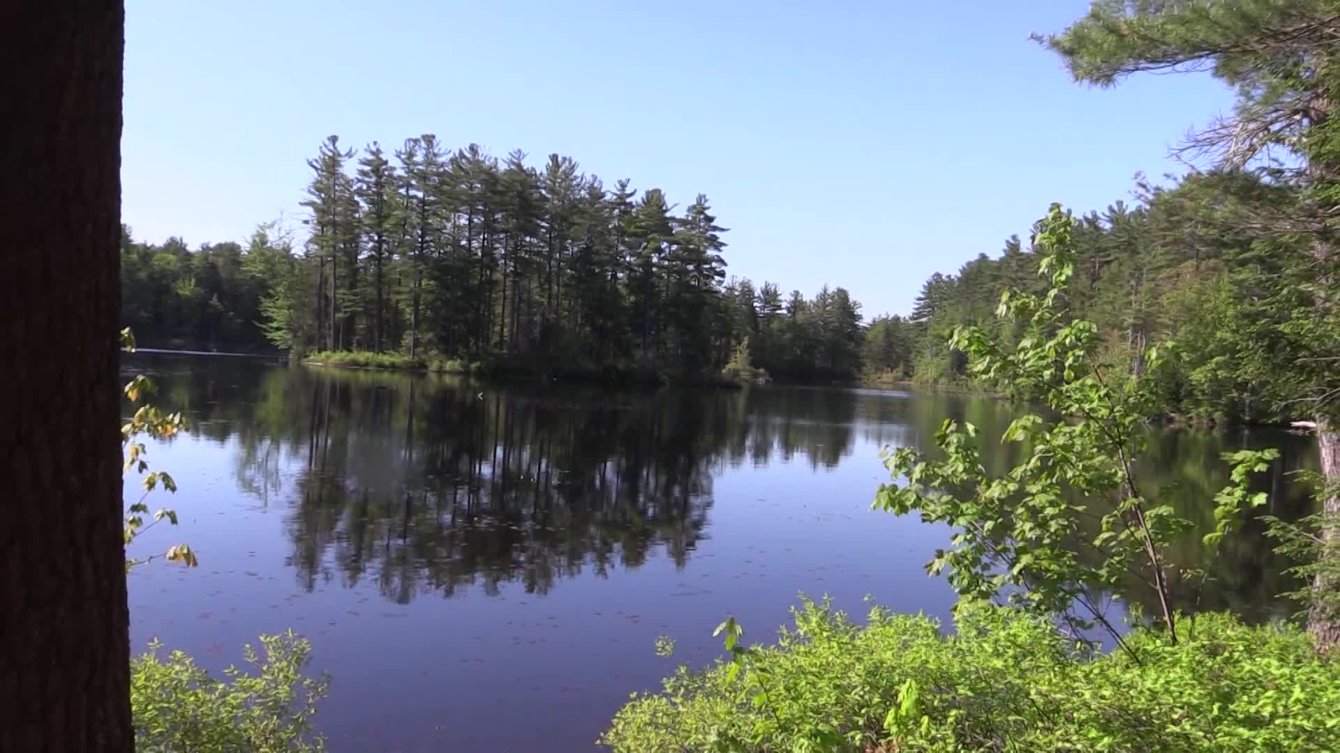 Animal Adventures: Talbot Taylor