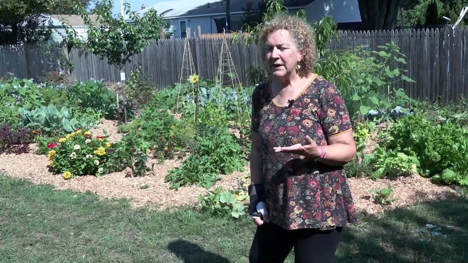 Food Forest Gardening in Your Backyard