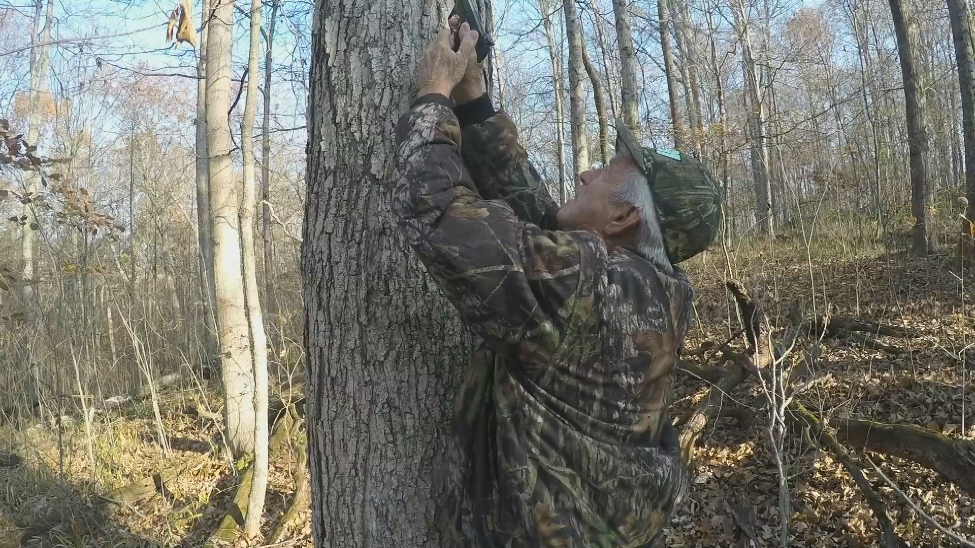 LIFES HIGHWAY Squirrel in Adams County part 2