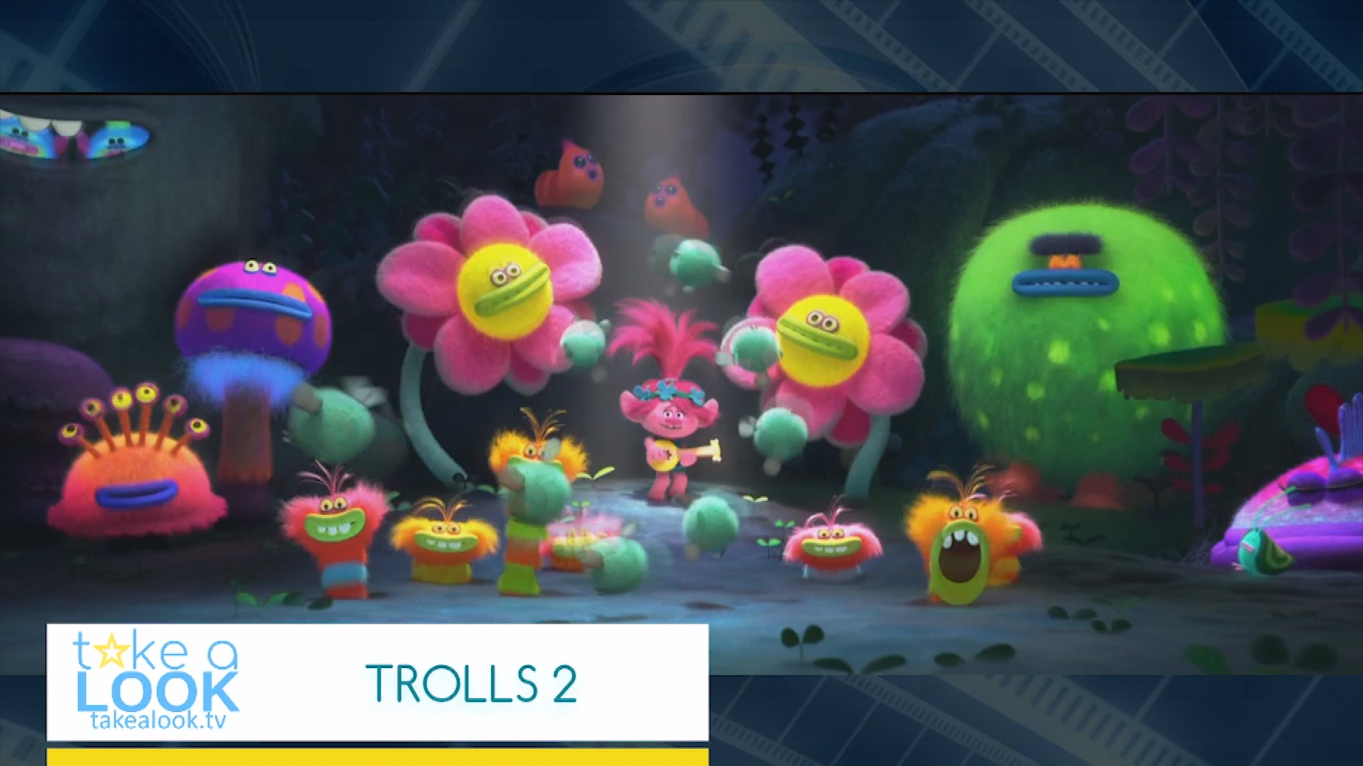 Take A Look:Cats and more