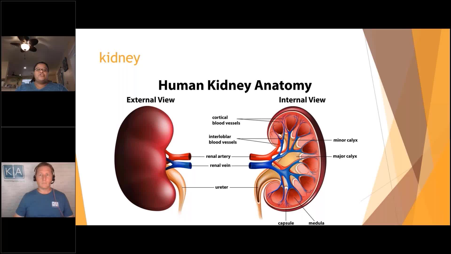 Knowledgeable ageing  Urinary Tract Infections What You Need To Know